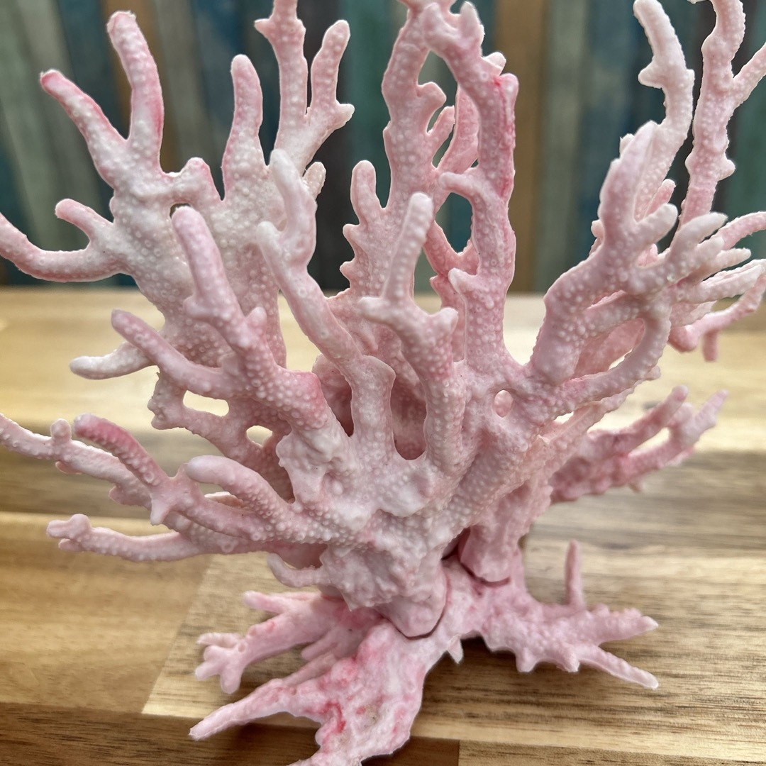 水槽レイアウト　オーナメント枝サンゴ　　模型サンゴ その他のペット用品(アクアリウム)の商品写真
