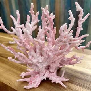 水槽レイアウト　オーナメント枝サンゴ　　模型サンゴ(アクアリウム)