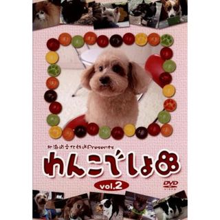 「わんこでしょ」ＤＶＤ　ｖｏｌ．２(趣味/実用)