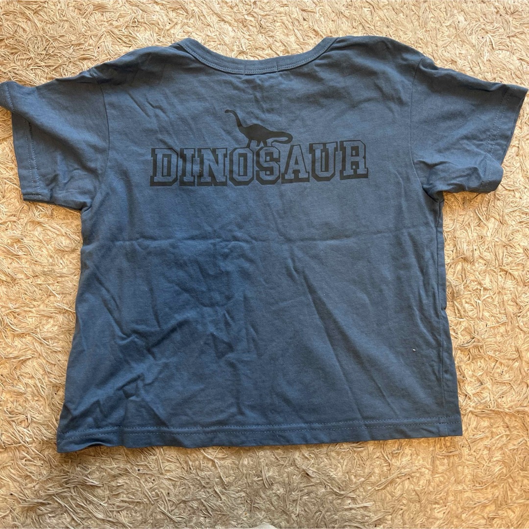 GrinLab グリンラボ 120サイズ　恐竜Tシャツ キッズ/ベビー/マタニティのキッズ服男の子用(90cm~)(Tシャツ/カットソー)の商品写真
