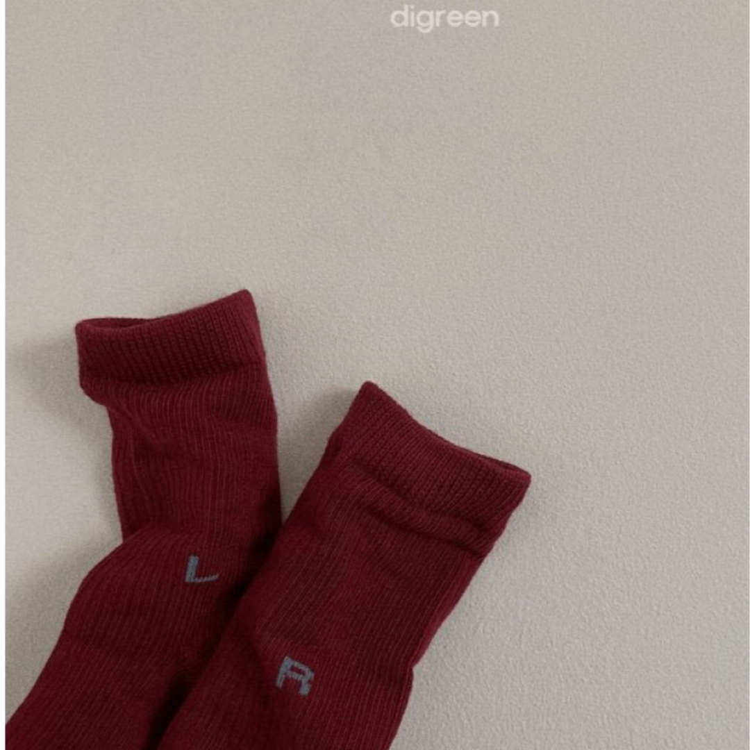 digreen right left靴下　19〜21㎝ キッズ/ベビー/マタニティのこども用ファッション小物(靴下/タイツ)の商品写真