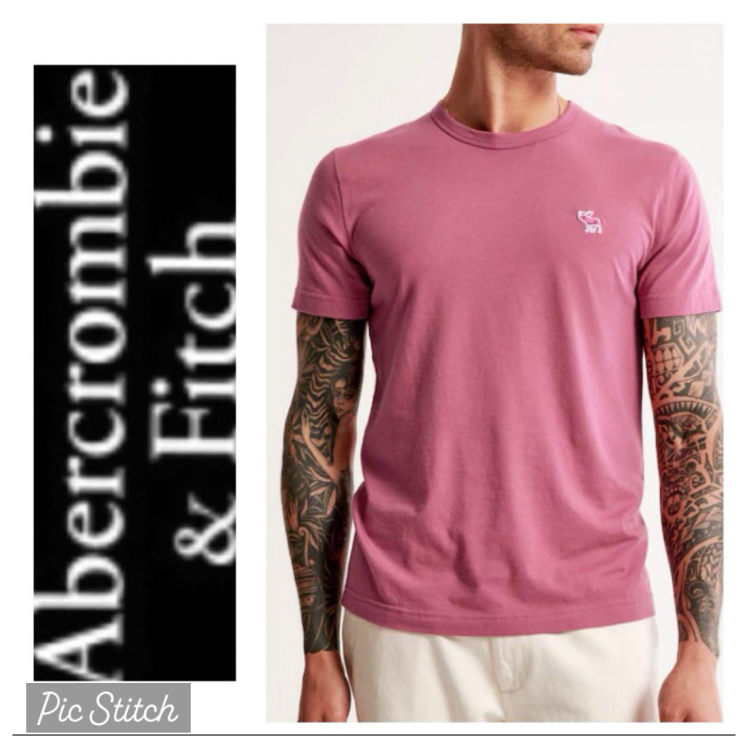 Abercrombie&Fitch(アバクロンビーアンドフィッチ)の割引ありM◎新品正規品◎アバクロ◎Tシャツ◎送料込 メンズのトップス(Tシャツ/カットソー(半袖/袖なし))の商品写真