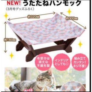 ねこのきもち　付録　うたたねハンモック　ハンモック　猫(猫)