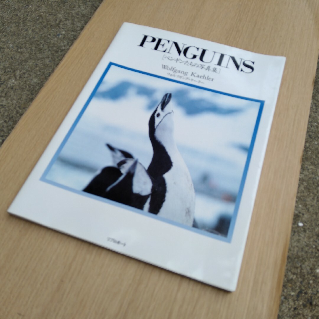 ペンギンたちの写真集 ウォルフガング・ケーラー エンタメ/ホビーの本(アート/エンタメ)の商品写真