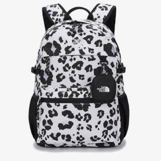 THE NORTH FACE - 【希少】RIMO LIGHT BACKPACK 