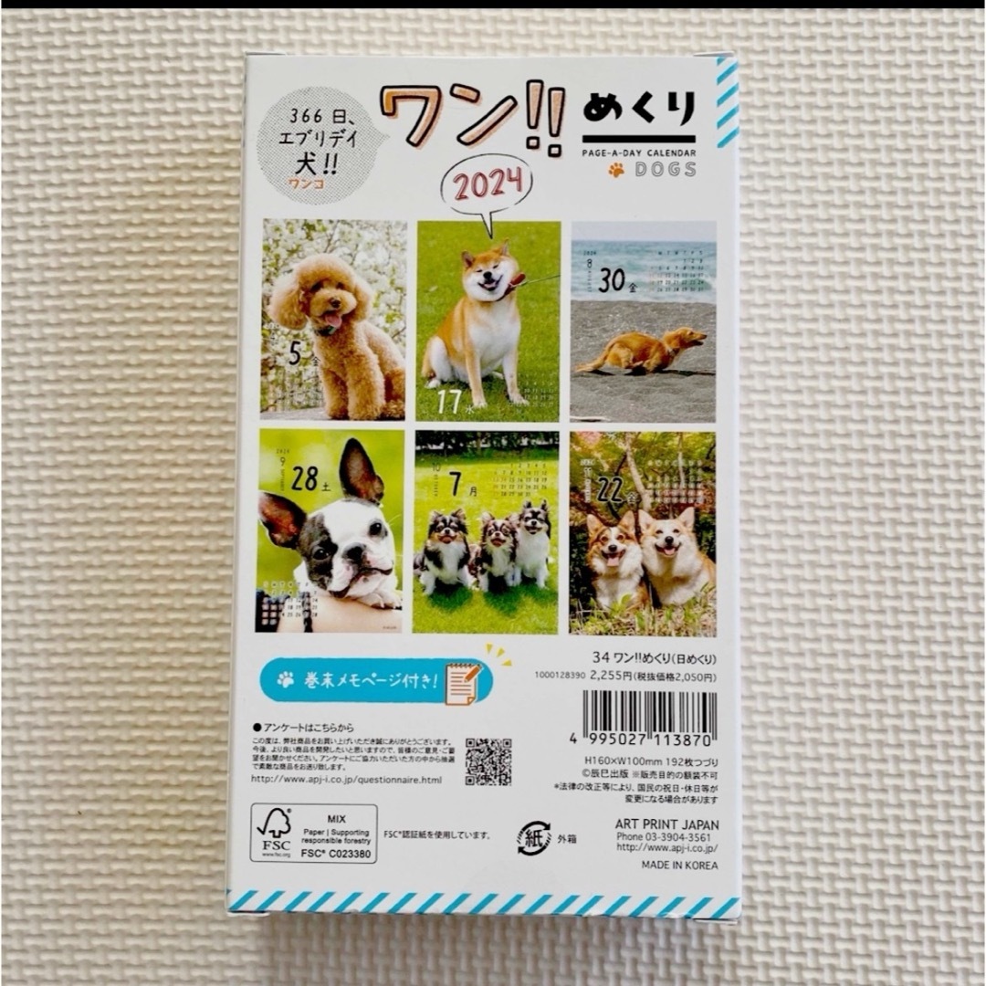 《在庫処分ラスト！》2024年 わん!!めくりカレンダー  インテリア/住まい/日用品の文房具(カレンダー/スケジュール)の商品写真