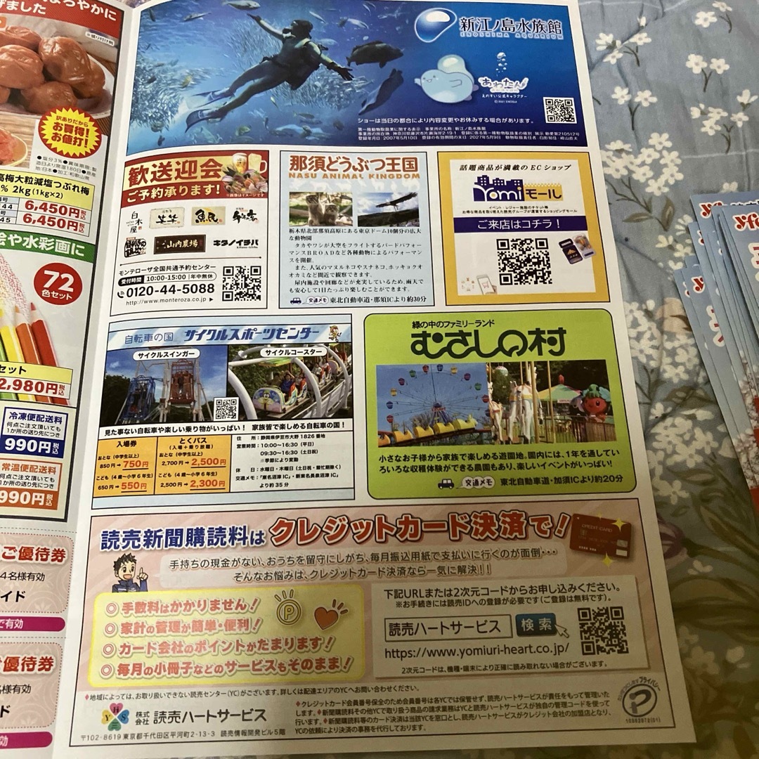 読売ファミリーサークル　春の優待ガイドセット チケットの優待券/割引券(その他)の商品写真