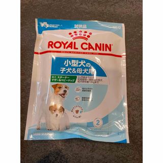 ロイヤルカナン(ROYAL CANIN)のロイヤルカナンミニ スターター マザー＆ベビードッグ ドライ　50g×10袋(ペットフード)