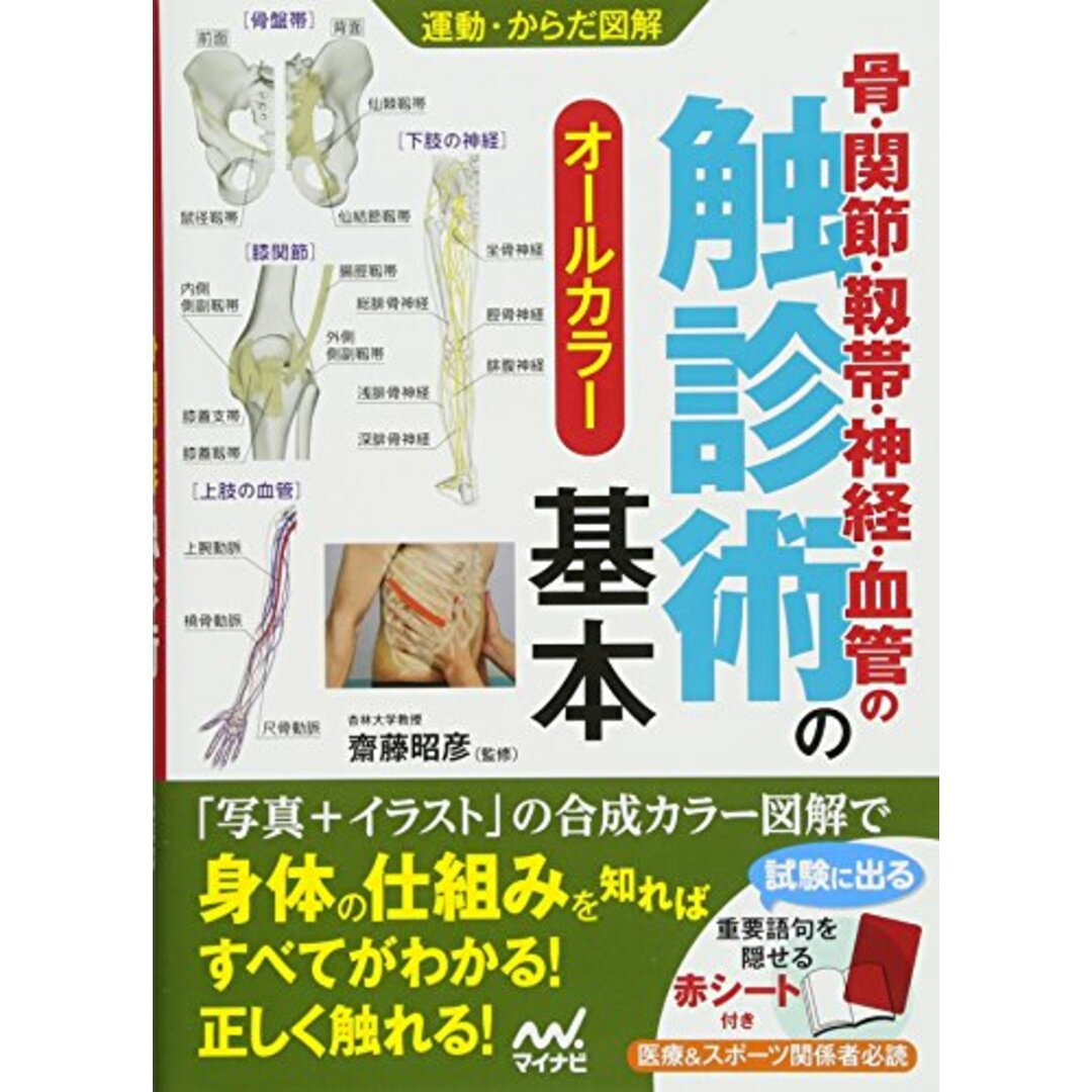 運動・からだ図解 骨・関節・靱帯・神経・血管の触診術の基本 エンタメ/ホビーの本(趣味/スポーツ/実用)の商品写真