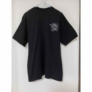 プロクラブ(PRO CLUB)のプロクラブ  パロディ　Tシャツ  L  PRO CLUB(Tシャツ/カットソー(半袖/袖なし))