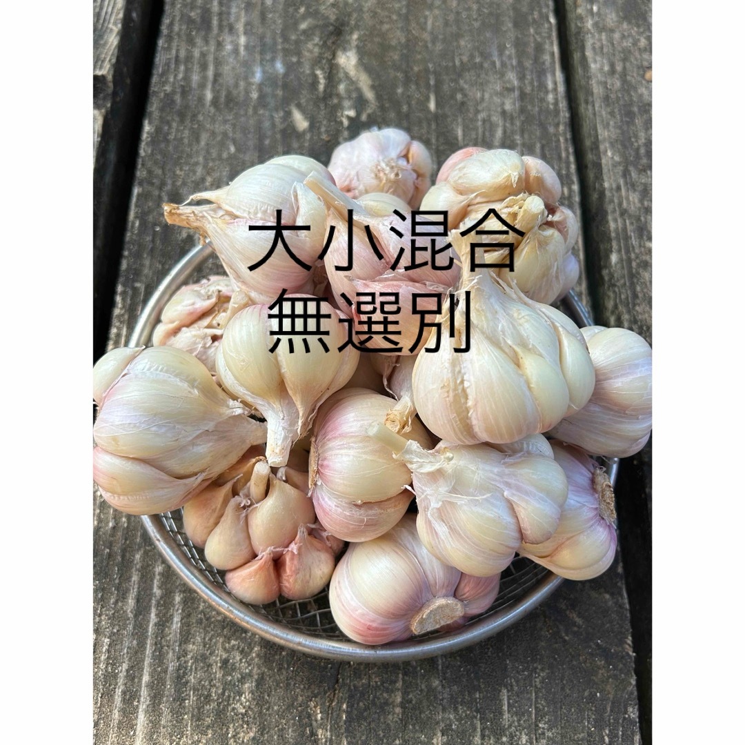 鹿児島県産生ニンニク1kg 食品/飲料/酒の食品(野菜)の商品写真