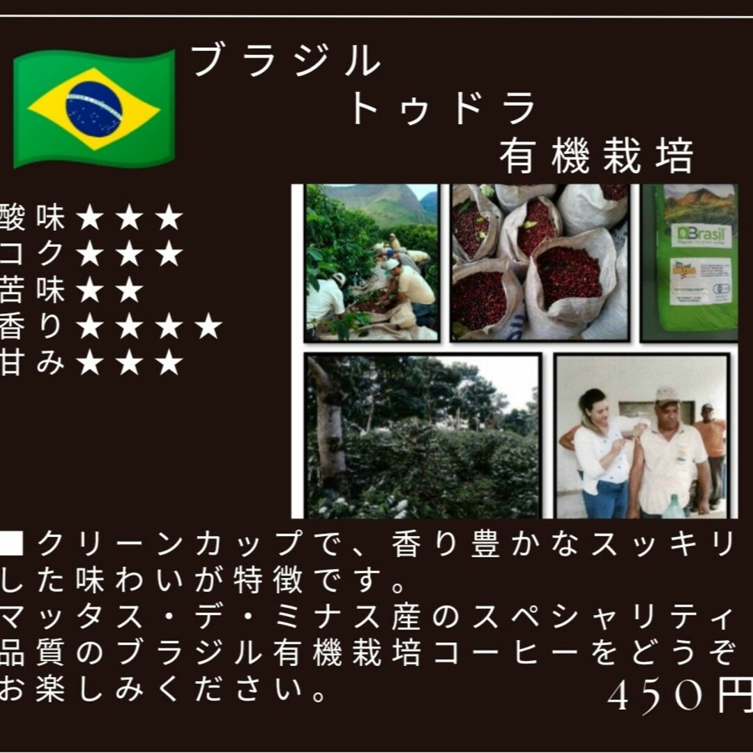 自家焙煎屋　珈琲豆　coffee　ブラジル　トゥドラ　有機栽培　300g 食品/飲料/酒の飲料(コーヒー)の商品写真