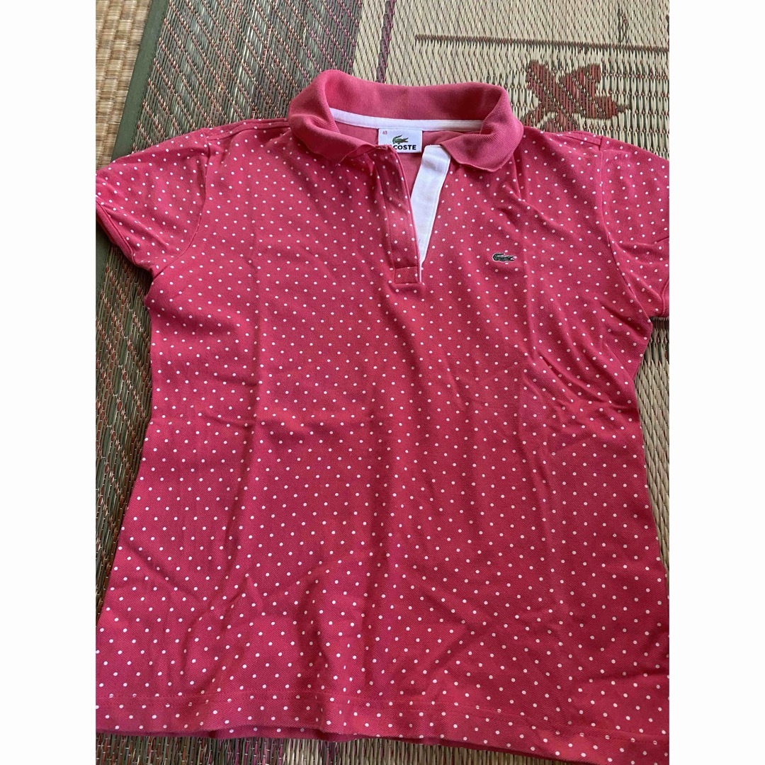 LACOSTE(ラコステ)のラコステ　ピンク　半袖ポロシャツ レディースのトップス(ポロシャツ)の商品写真