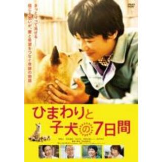 【中古】DVD▼ひまわりと子犬の7日間 レンタル落ち(日本映画)