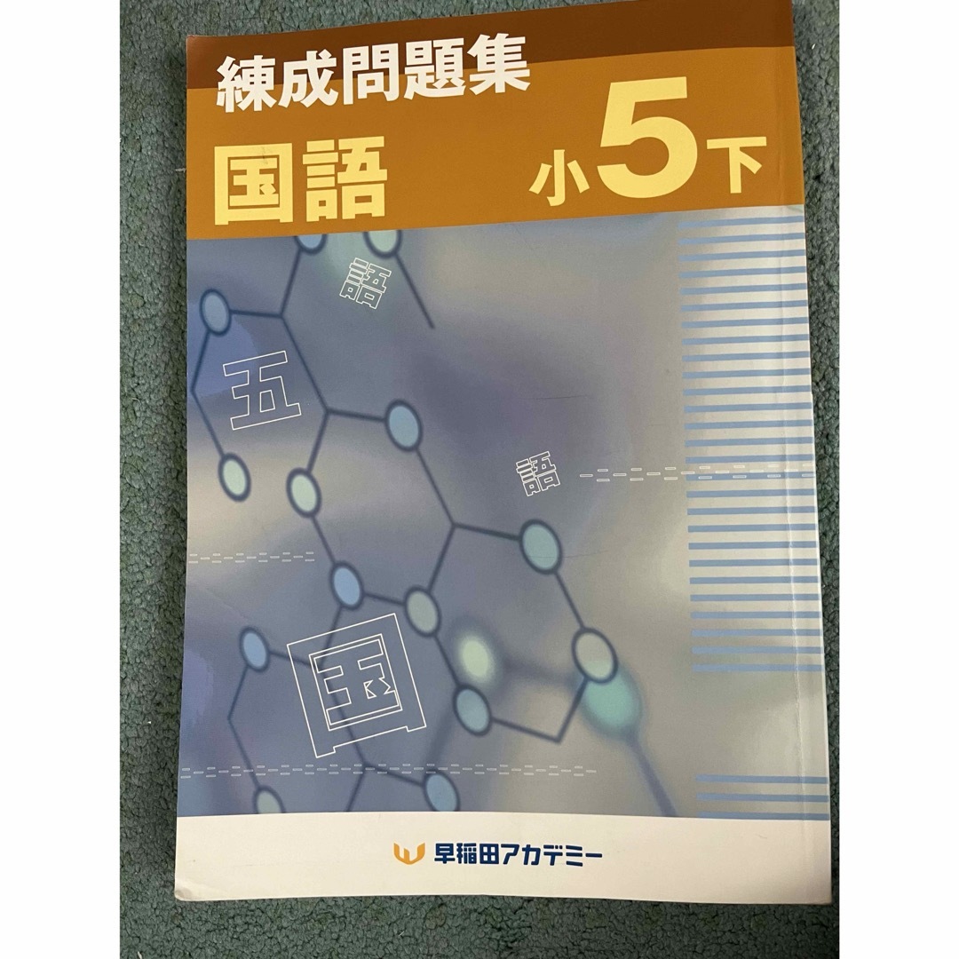 錬成問題集　国語　5年下　早稲田アカデミー エンタメ/ホビーの本(語学/参考書)の商品写真