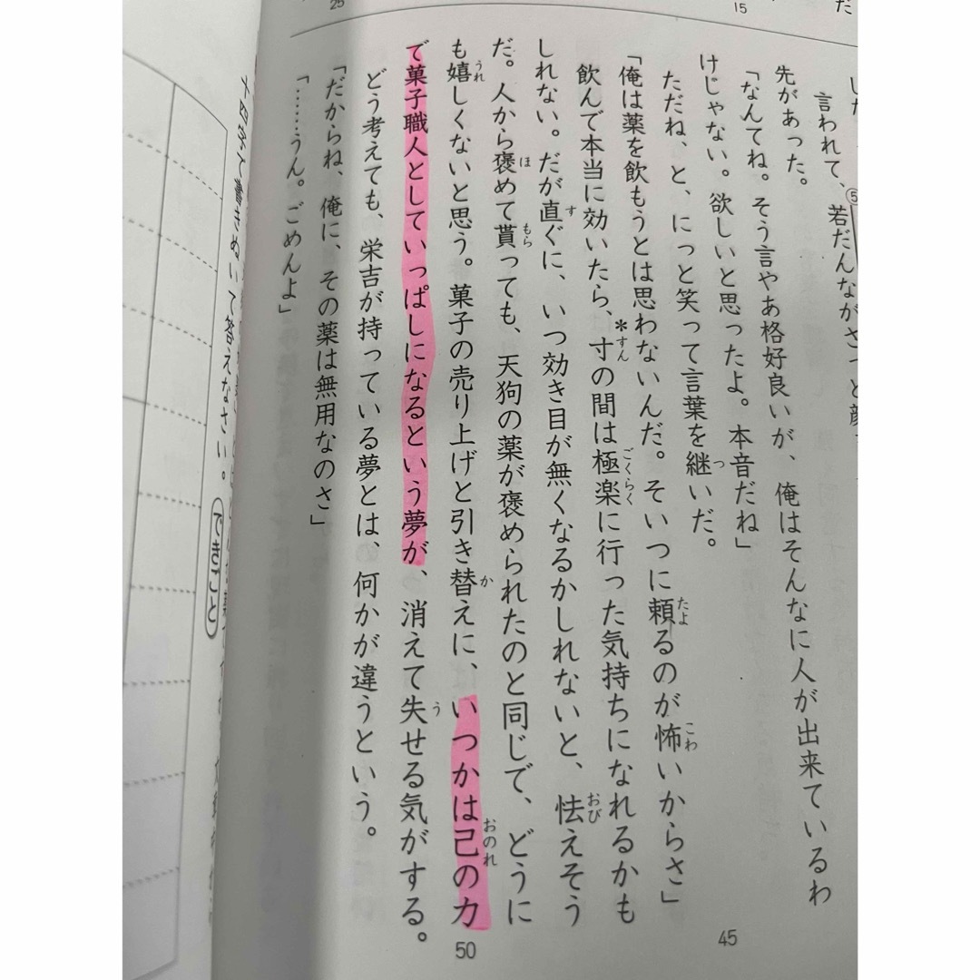 錬成問題集　国語　5年下　早稲田アカデミー エンタメ/ホビーの本(語学/参考書)の商品写真