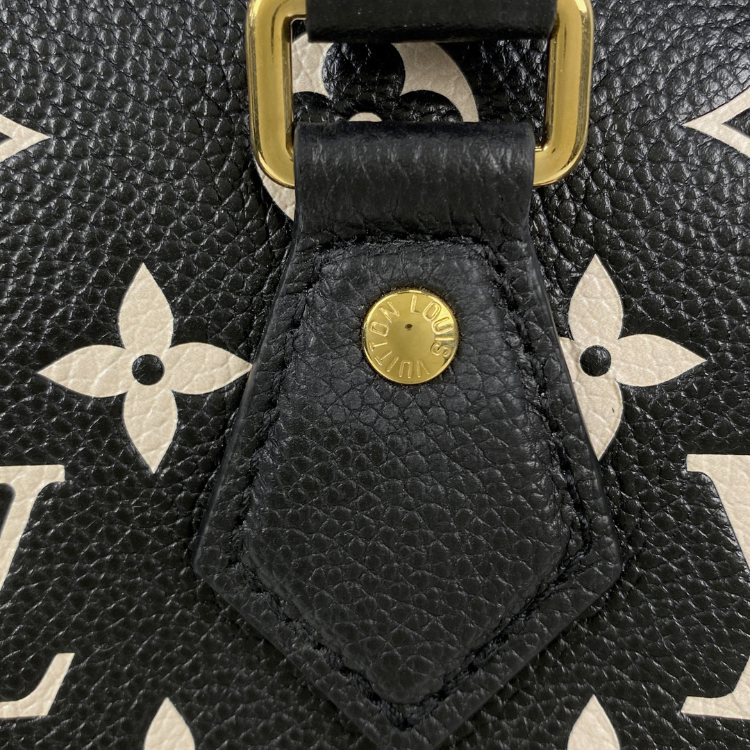 LOUIS VUITTON(ルイヴィトン)のルイ・ヴィトン スピーディー バンドリエール 20 レディース 【中古】 レディースのバッグ(ハンドバッグ)の商品写真