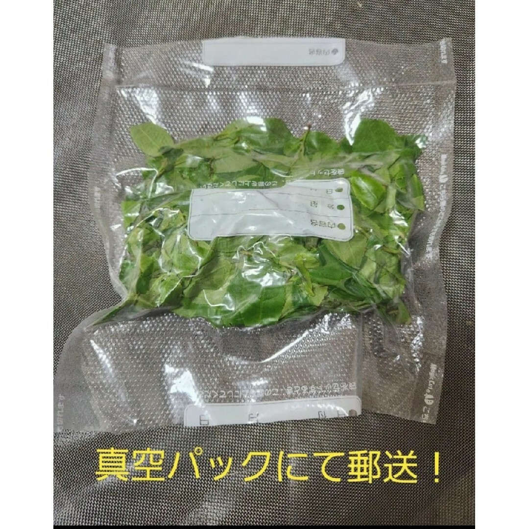 茶葉　新芽　緑茶葉　新鮮　兵庫県篠山市産 食品/飲料/酒の食品(野菜)の商品写真