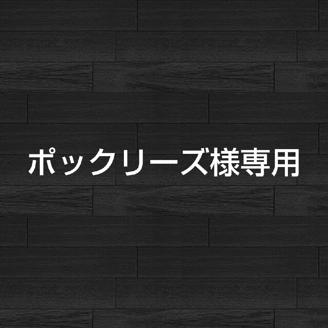 ポックリーズ様専用ページ その他のその他(その他)の商品写真