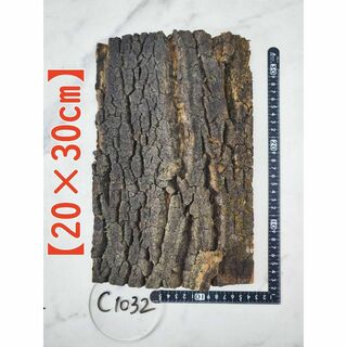 c1032【20×30cm】コルク樹皮 コルク板 バージンコルク 穴あけ送料無料(各種パーツ)
