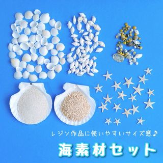 小さい貝殻　シェルパーツ　レジン封入　素材　海　海レジン　デコ　アロマサシェ(各種パーツ)