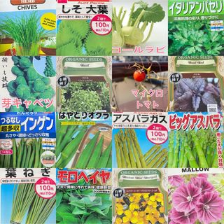 【5月がまきどき！野菜とハーブ　2種】この中から2種類選べます♪(その他)