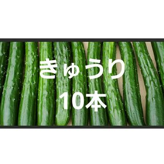きゅうり10本(野菜)