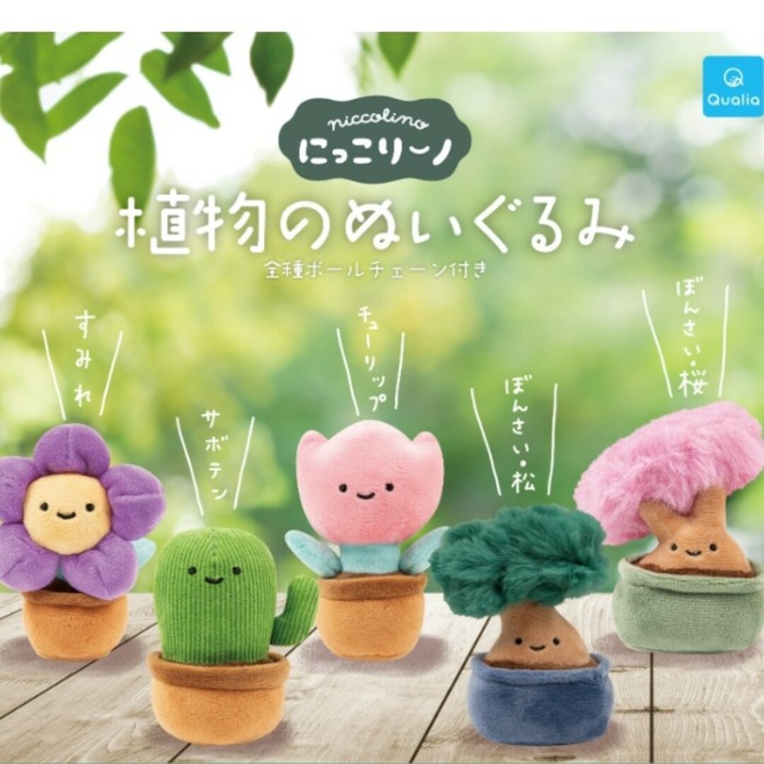 にっこりーノ　植物のぬいぐるみ　ぼんさい・松 エンタメ/ホビーのおもちゃ/ぬいぐるみ(キャラクターグッズ)の商品写真