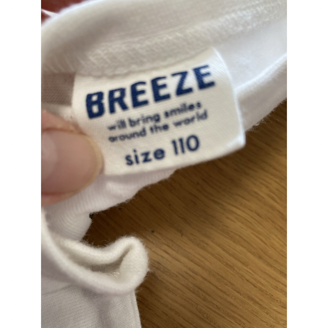 BREEZE(ブリーズ)の110サイズ 半袖Tシャツ2枚セット キッズ/ベビー/マタニティのキッズ服男の子用(90cm~)(Tシャツ/カットソー)の商品写真