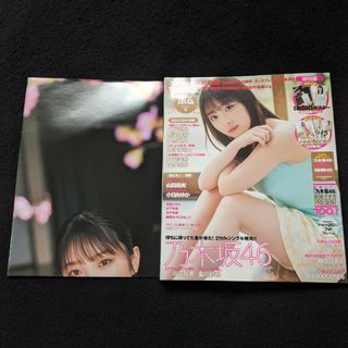 ボム　与田祐希 金川紗耶 ポスター 大場美奈 古畑奈和 入山杏奈 小日向ゆか(アート/エンタメ/ホビー)