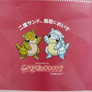 ポケモン(ポケモン)のポケモンマンホール　冊子(印刷物)