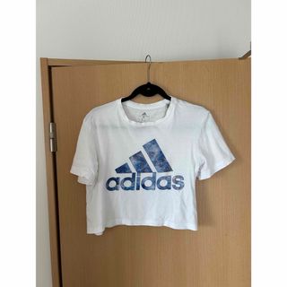 adidas - adidas クロップトップス