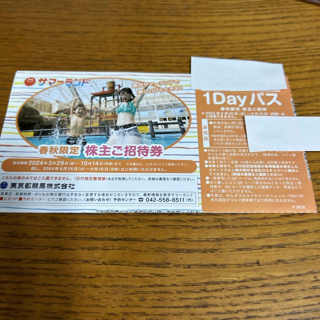東京都競馬　株主優待　サマーランド招待券4枚 チケットの施設利用券(遊園地/テーマパーク)の商品写真