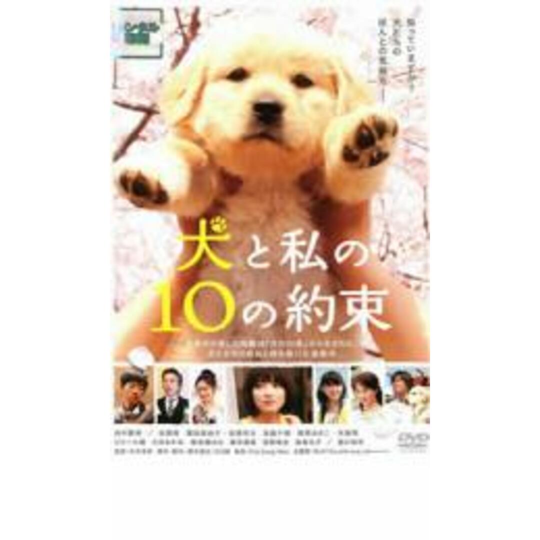 【中古】DVD▼犬と私の10の約束 レンタル落ち エンタメ/ホビーのDVD/ブルーレイ(日本映画)の商品写真