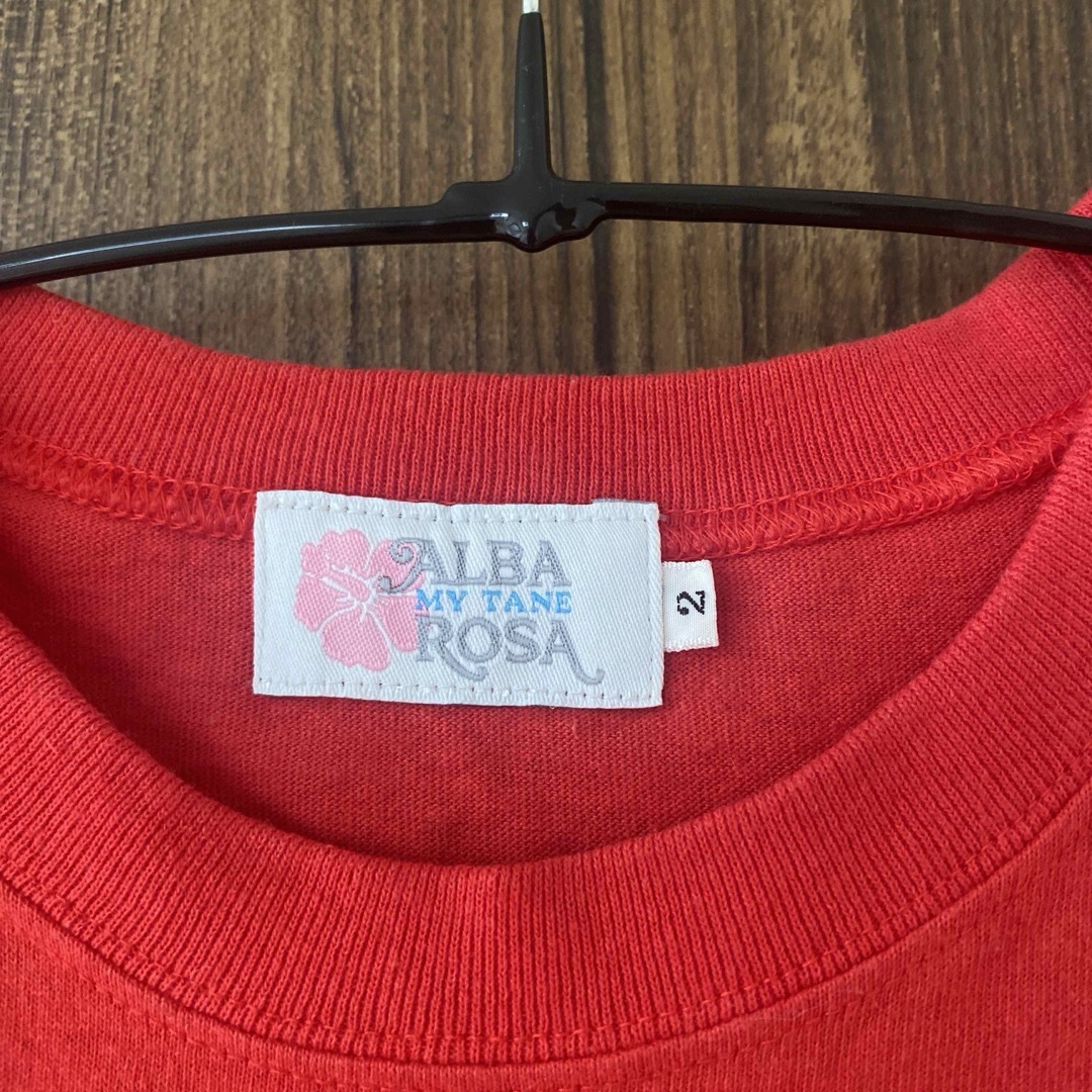 ALBA ROSA(アルバローザ)のALBAROSA MYTANE Tシャツ レディースのトップス(Tシャツ(半袖/袖なし))の商品写真