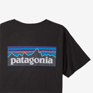 パタゴニア(patagonia)のpatagonia パタゴニア  p-6ロゴ　レスポンシビリティー　XLサイズ(Tシャツ/カットソー(半袖/袖なし))