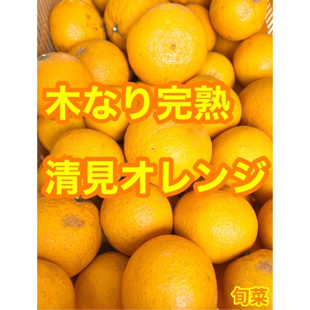 清見オレンジ　【低農薬】　木なり完熟　ご家庭用　約2キロ　別格で甘い 食品/飲料/酒の食品(フルーツ)の商品写真