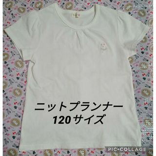 KP - KP ニットプランナー Ｔシャツ 120 ホワイト