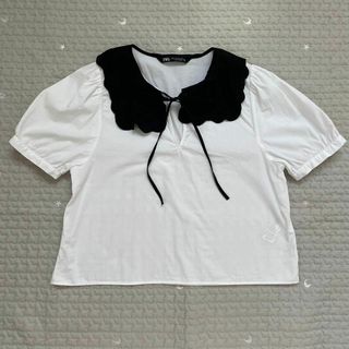 ザラ(ZARA)のM　ZARA　ブラウス　シャツ　トップス　半袖　襟　リボン　レディース　ガーリー(シャツ/ブラウス(半袖/袖なし))