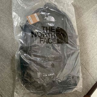 ザノースフェイス(THE NORTH FACE)のノースフェイス ビックショット30L 新品 海外限定 男女兼用(バッグパック/リュック)