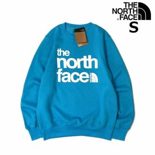 ザノースフェイス(THE NORTH FACE)のノースフェイス トレーナー US限定 裏起毛 立体ロゴ(S)青 181130(スウェット)