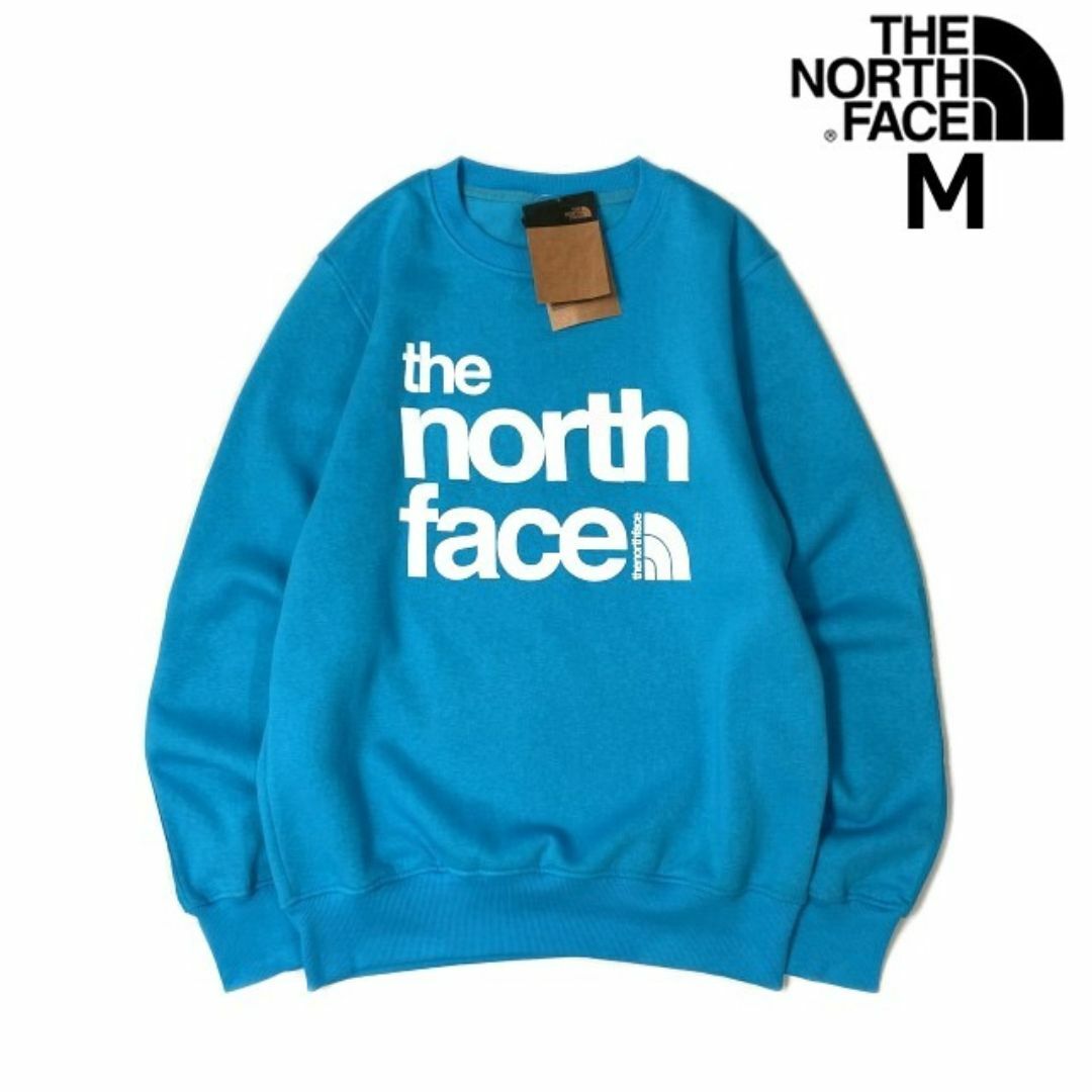 THE NORTH FACE(ザノースフェイス)のノースフェイス トレーナー US限定 裏起毛 立体ロゴ(M)青 181130 メンズのトップス(スウェット)の商品写真