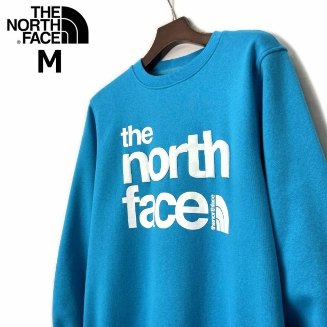 THE NORTH FACE(ザノースフェイス)のノースフェイス トレーナー US限定 裏起毛 立体ロゴ(M)青 181130 メンズのトップス(スウェット)の商品写真