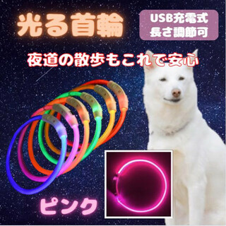 光る 首輪 ピンク LEDライト USB充電 犬 ドッグ おしゃれ 夜の散歩(犬)