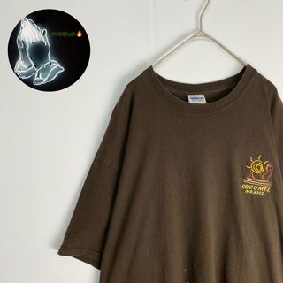 ギルタン(GILDAN)のギルダン　Tシャツ　刺しゅうデザイン　ワンポイント　茶　金(Tシャツ/カットソー(半袖/袖なし))