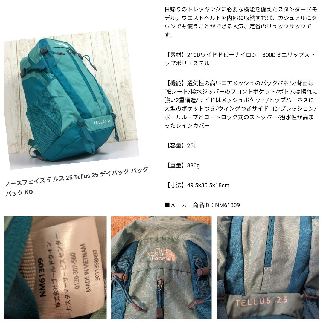 THE NORTH FACE(ザノースフェイス)のThe North Face リュック TELLUS 25 スポーツ/アウトドアのアウトドア(登山用品)の商品写真