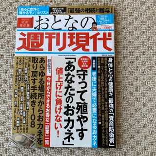 おとなの週刊現代(ビジネス/経済)