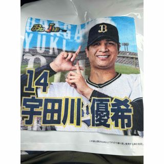 オリックスバファローズ(オリックス・バファローズ)の宇田川優希 神戸デザインミニタオル オリックス・バファローズ(スポーツ選手)