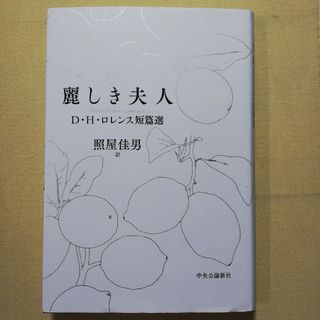 麗しき夫人(文学/小説)