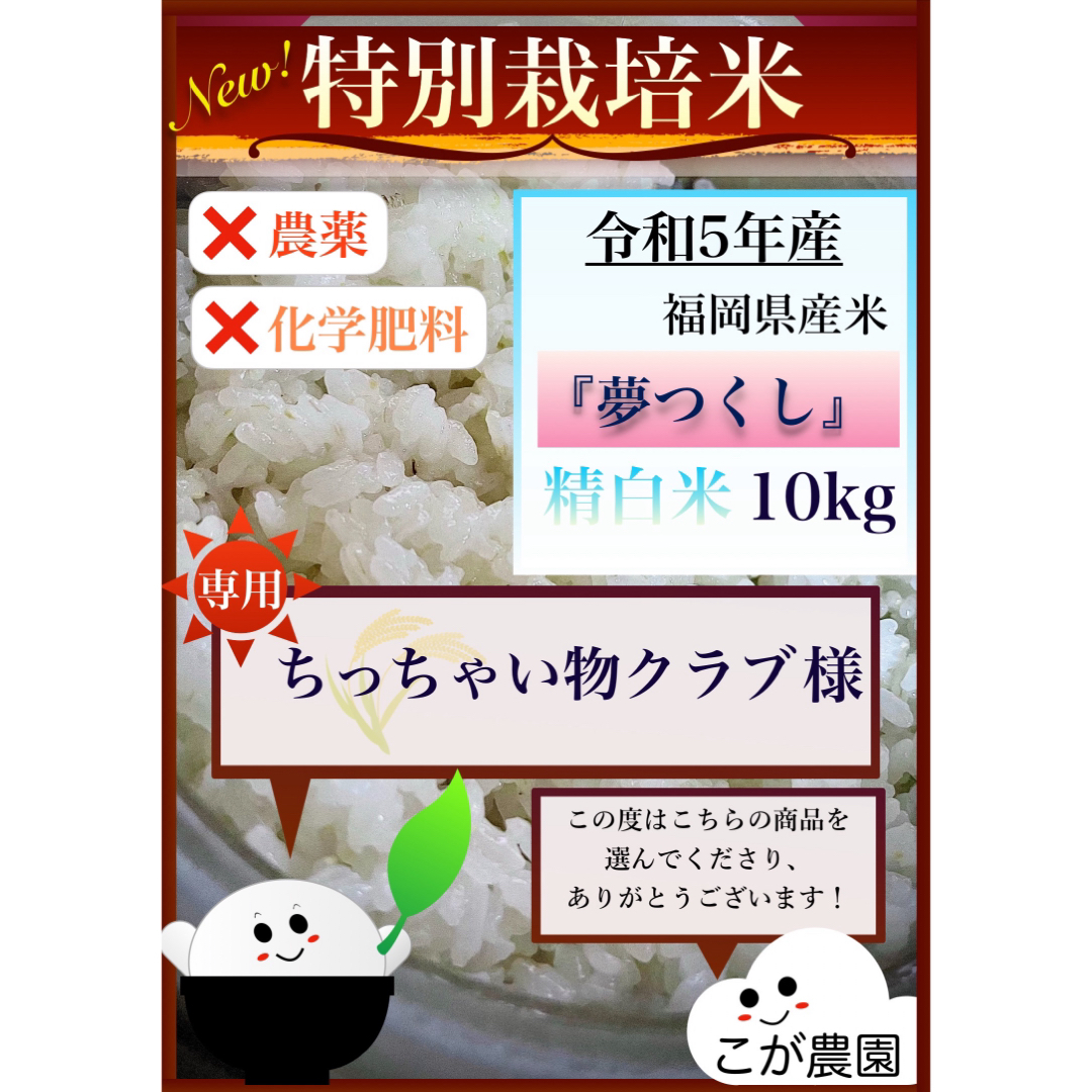 ちっちゃい物クラブ様専用　福岡県産「夢つくし」令和５年産　精白米10kg   食品/飲料/酒の食品(米/穀物)の商品写真